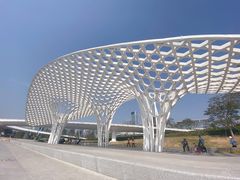 -宝安西湾红树林湿地公园