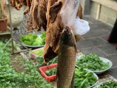 -翕庐小苑