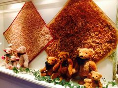 -济州岛泰迪熊博物馆