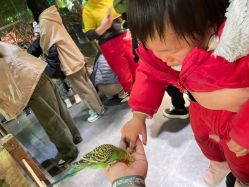 -酷嗒动物文化乐园(cutezoo西溪乐天城店)