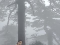 -南岳衡山风景名胜区-南岳大庙