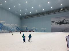 -哈尔滨热雪奇迹