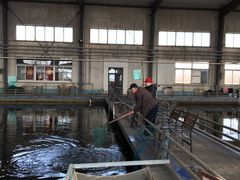 -万源龙顺度假庄园生态观光园