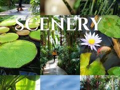 -国家植物园南园