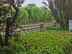 -川沙古镇-停车场