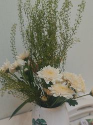 -联合丽格·张菡丽格医疗美容