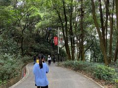 -广州市帽峰山景区