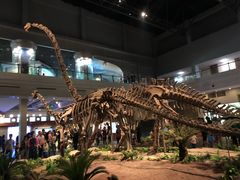 -自贡恐龙博物馆