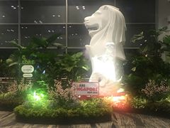 -老伴豆花(麦士威熟食中心店)