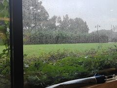 -潮府馆·非遗潮州菜·港式点心(世纪公园店)