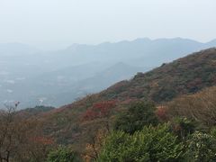 -广州市石门国家森林公园