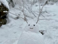 -九峰山