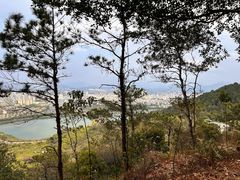 -风云岭森林公园