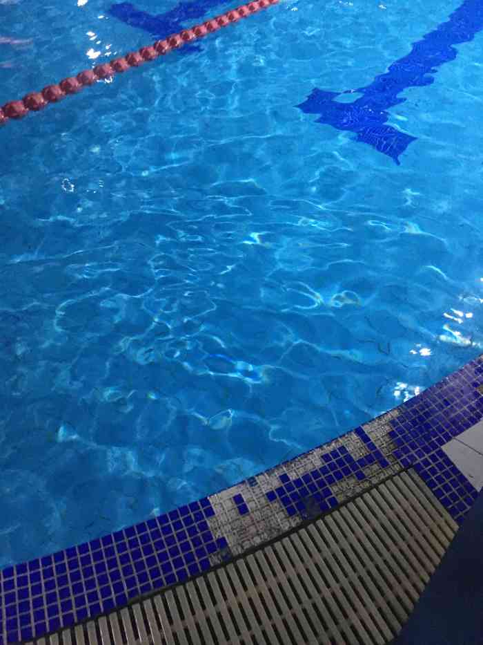 飞鱼盛世游泳培训(林翠路店)-"亚运村水立方游泳馆的,想学游泳的时候