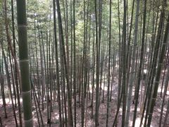 -陶祖圣境风景区