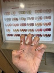 -恐龙·美甲美睫