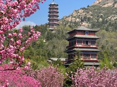 -石岛赤山风景区