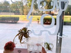 -Dinoo 片场咖啡(酒仙桥店)