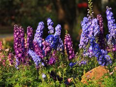 -人民公园(罗湖区)