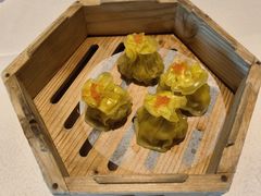 鲜汤鱼蓉石榴球-正佳广场万豪酒店-粤菜餐厅·点心·海鲜·聚餐