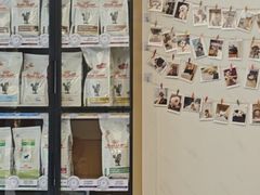 -瑞派康怡24h宠物医院·犬猫医疗中心·微创绝育(瑞景分院)