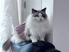 -西涌国际滨海旅游区