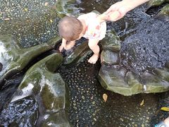 -成都市活水公园