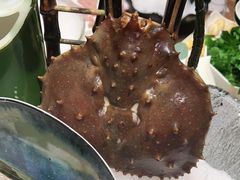 -尚海豆捞(乐虹坊店)