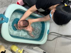 -田螺阿姨自营月嫂·育儿嫂(高新店)