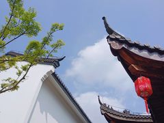 -长兴慧子土特产茶行