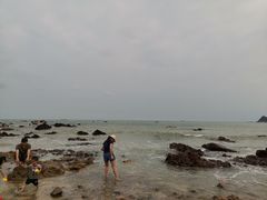 -西涌国际滨海旅游区