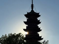 -龙华素斋(龙华路店)