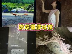 -中国西峡恐龙遗迹园