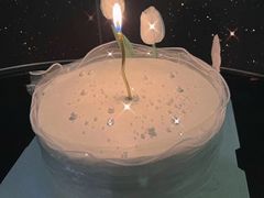 -森之烘焙.蛋糕.甜品台定制(番禺万博店)