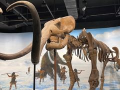 -辽宁古生物博物馆