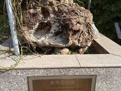 -广州神农草堂中医药博物馆