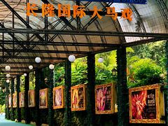 -广州长隆国际大马戏