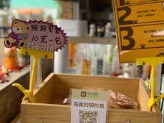 -柴犬高等学院·狗咖·柴犬售卖·宠物训练