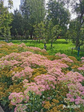 住在附近的朋友可以来溜达,不要票哈哈哈