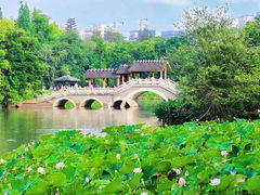 -金山公园