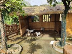 -佛冈森波拉度假区