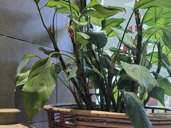 -小泉居(水坑尾店 )