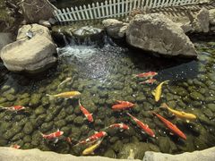 -罗红摄影艺术馆