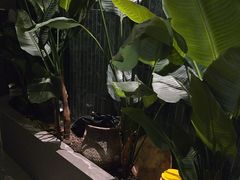 -涟LIAN·泰式按摩·MASSAGE·SPA(华强北店)