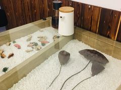 -鼎记瘦肉丸(寺后路店)