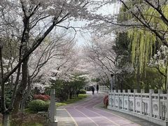-尚贤河湿地