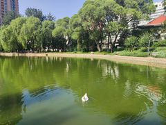 -团结湖公园