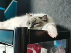 -零纪元VR体验馆·桌游(黄浦店)