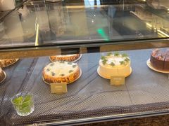 -gaga(深圳南山益田假日广场店)
