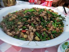 -铁山坪森林公园